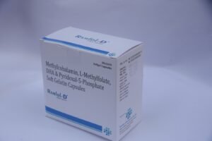 RAMFOL-D (2)